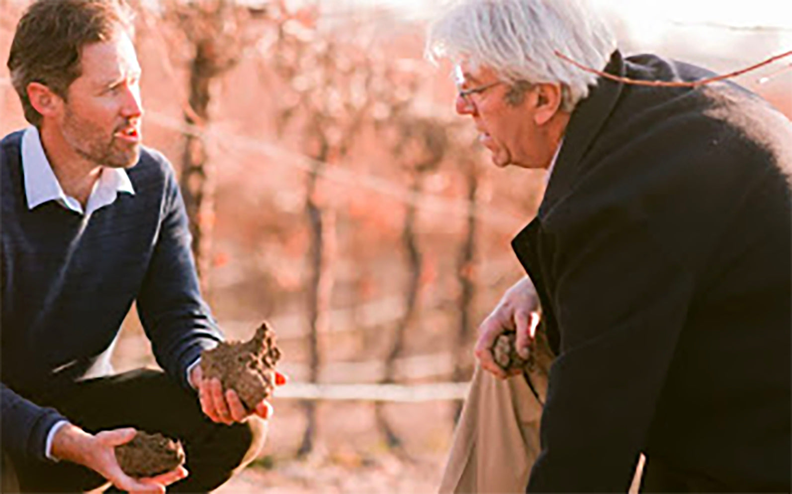 Understanding biodynamic viticulture