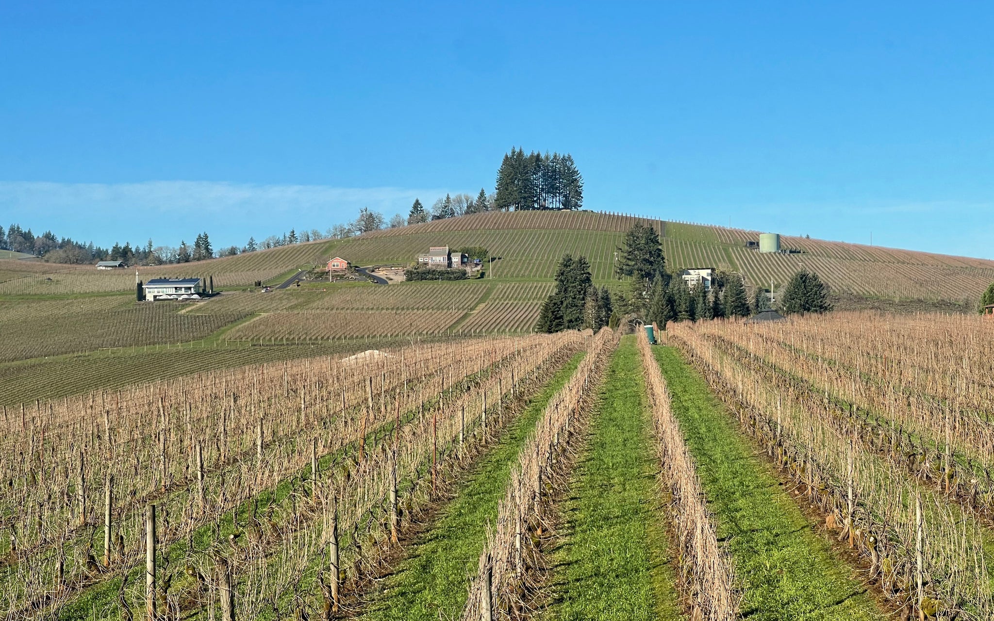 The Calendar Says Winter